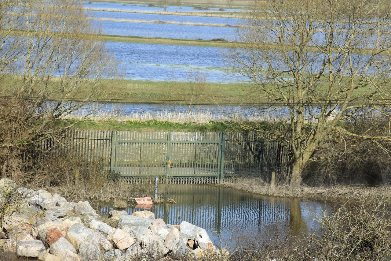 Wind and Flood Load Calculation for Fences